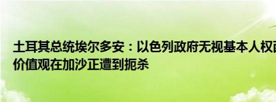 土耳其总统埃尔多安：以色列政府无视基本人权西方世界的价值观在加沙正遭到扼杀