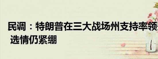 民调：特朗普在三大战场州支持率领先哈里斯 选情仍紧绷