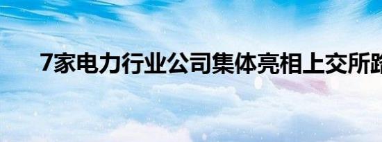 7家电力行业公司集体亮相上交所路演