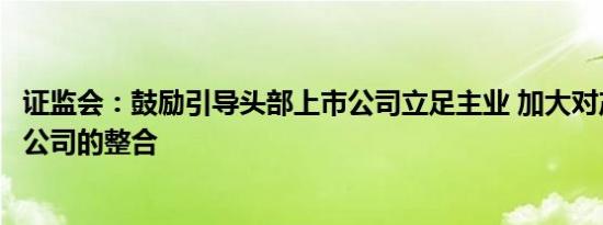 证监会：鼓励引导头部上市公司立足主业 加大对产业链上市公司的整合