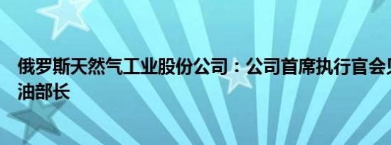 俄罗斯天然气工业股份公司：公司首席执行官会见了伊朗石油部长