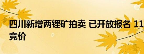 四川新增两锂矿拍卖 已开放报名 11月6日起竞价