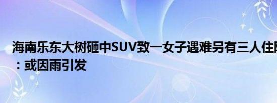 海南乐东大树砸中SUV致一女子遇难另有三人住院救治官方：或因雨引发