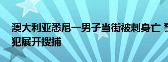 澳大利亚悉尼一男子当街被刺身亡 警方对嫌犯展开搜捕