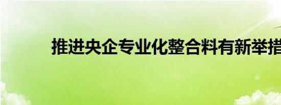推进央企专业化整合料有新举措