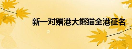 新一对赠港大熊猫全港征名