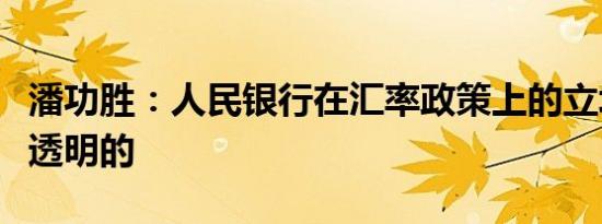 潘功胜：人民银行在汇率政策上的立场是清晰透明的