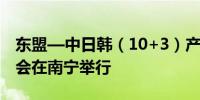 东盟—中日韩（10+3）产业链供应链对接大会在南宁举行