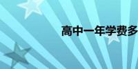 高中一年学费多少钱