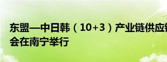 东盟—中日韩（10+3）产业链供应链对接大会在南宁举行