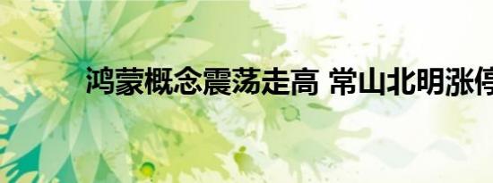 鸿蒙概念震荡走高 常山北明涨停