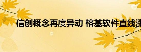 信创概念再度异动 榕基软件直线涨停