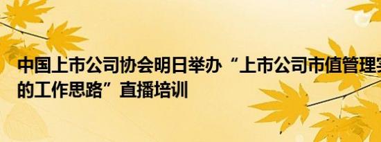 中国上市公司协会明日举办“上市公司市值管理实施与考核的工作思路”直播培训