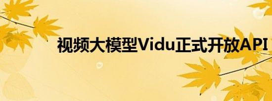 视频大模型Vidu正式开放API