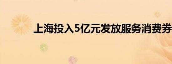 上海投入5亿元发放服务消费券