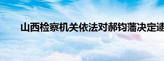 山西检察机关依法对郝钧藩决定逮捕