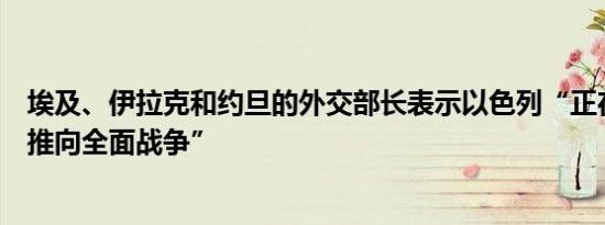 埃及、伊拉克和约旦的外交部长表示以色列“正在将该地区推向全面战争”