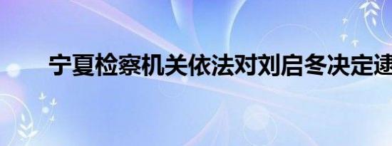 宁夏检察机关依法对刘启冬决定逮捕