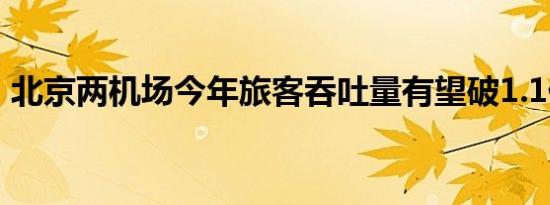 北京两机场今年旅客吞吐量有望破1.1亿人次