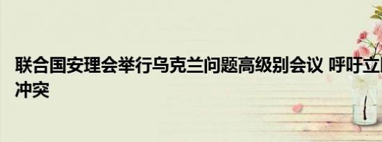 联合国安理会举行乌克兰问题高级别会议 呼吁立即停止俄乌冲突