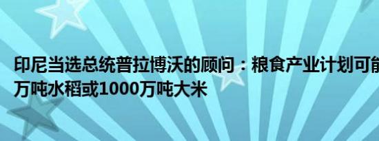 印尼当选总统普拉博沃的顾问：粮食产业计划可能增加2000万吨水稻或1000万吨大米