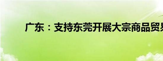 广东：支持东莞开展大宗商品贸易