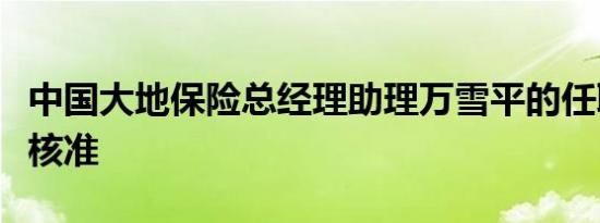 中国大地保险总经理助理万雪平的任职资格获核准