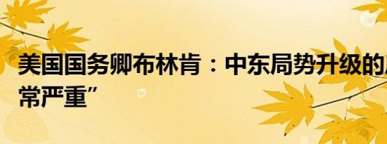 美国国务卿布林肯：中东局势升级的风险“非常严重”