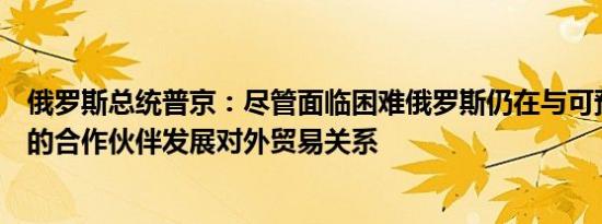 俄罗斯总统普京：尽管面临困难俄罗斯仍在与可预测、可靠的合作伙伴发展对外贸易关系