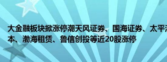 大金融板块掀涨停潮天风证券、国海证券、太平洋、五矿资本、渤海租赁、鲁信创投等近20股涨停