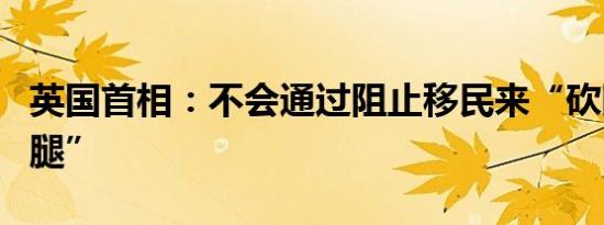 英国首相：不会通过阻止移民来“砍断企业的腿”