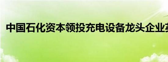中国石化资本领投充电设备龙头企业英飞源