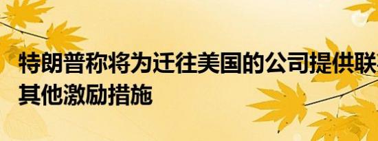 特朗普称将为迁往美国的公司提供联邦土地和其他激励措施