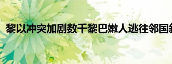 黎以冲突加剧数千黎巴嫩人逃往邻国叙利亚