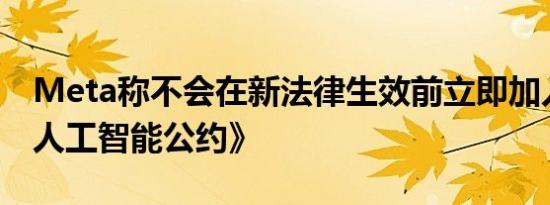 Meta称不会在新法律生效前立即加入欧盟《人工智能公约》