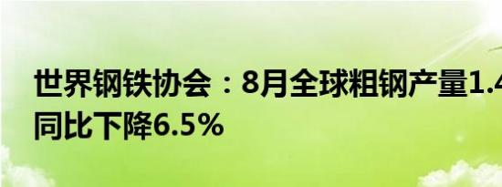 世界钢铁协会：8月全球粗钢产量1.448亿吨同比下降6.5%