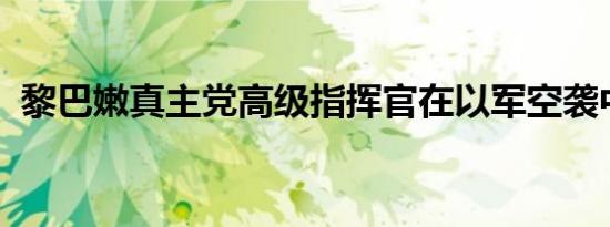 黎巴嫩真主党高级指挥官在以军空袭中身亡