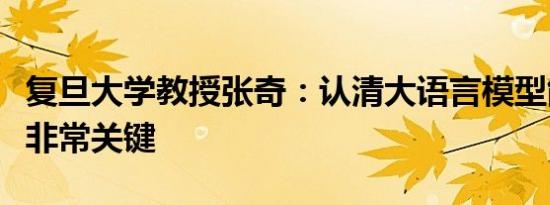 复旦大学教授张奇：认清大语言模型能力边界非常关键