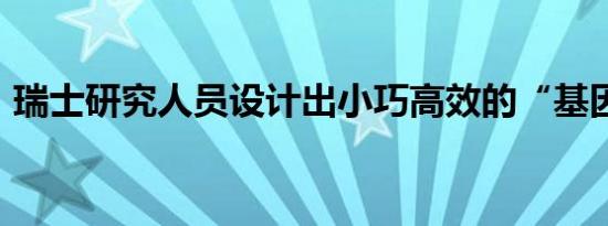 瑞士研究人员设计出小巧高效的“基因剪刀”
