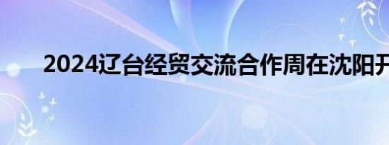 2024辽台经贸交流合作周在沈阳开幕