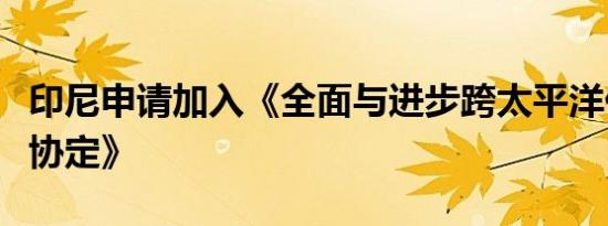 印尼申请加入《全面与进步跨太平洋伙伴关系协定》