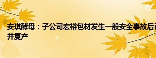 安琪酵母：子公司宏裕包材发生一般安全事故后已完成整改并复产