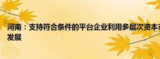 河南：支持符合条件的平台企业利用多层次资本市场高质量发展