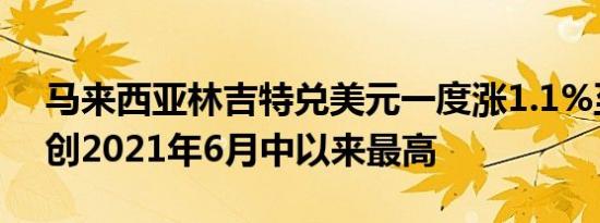 马来西亚林吉特兑美元一度涨1.1%至4.105创2021年6月中以来最高