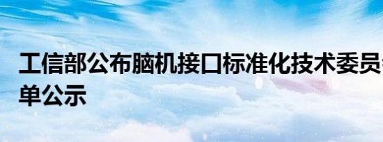 工信部公布脑机接口标准化技术委员会委员名单公示