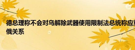德总理称不会对乌解除武器使用限制法总统称应重新思考与俄关系