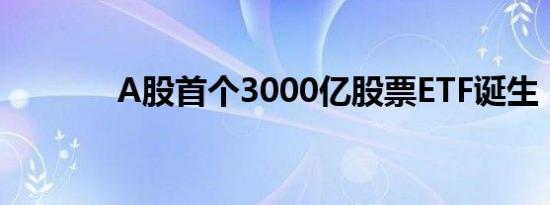A股首个3000亿股票ETF诞生