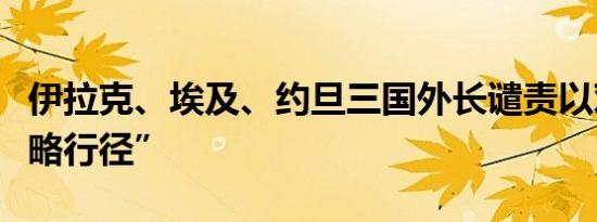 伊拉克、埃及、约旦三国外长谴责以对黎“侵略行径”