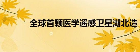 全球首颗医学遥感卫星湖北造