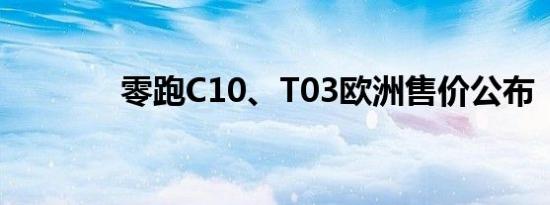 零跑C10、T03欧洲售价公布